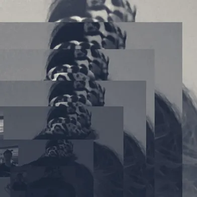 Das Bild zeigt ein fragmentiertes, mehrfach überlagertes Foto eines Zopfes mit einem auffälligen, gemusterten Haargummi. Die Bildwiederholungen erzeugen einen kaleidoskopartigen Effekt mit monochromer Farbgebung.
