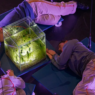 Drei Personen liegen auf blauen Matten im Kreis um ein beleuchtetes Wasserbecken mit Pflanzen. Sie scheinen zu lauschen, Mikrofone hängen von oben herab – eine ruhige, experimentelle Szene.