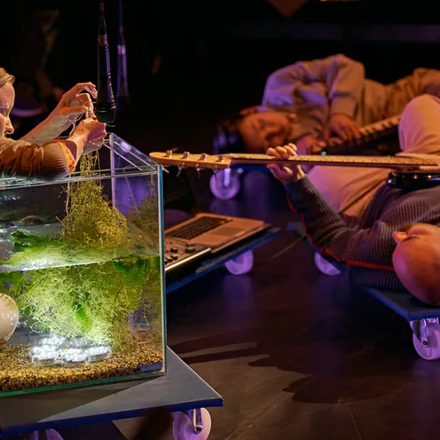 Eine Frau greift in ein Aquarium mit Wasserpflanzen, während zwei Männer daneben liegend E-Gitarren spielen. Ein Laptop steht bereit – eine künstlerisch-musikalische Aktion im Fokus.