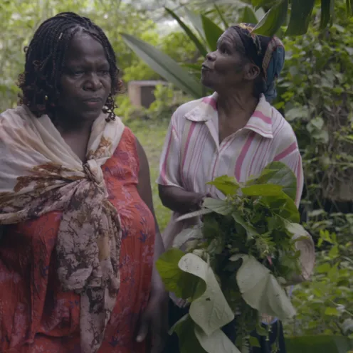 Zwei Frauen mit dunkler Haut gehen durch dichte, grüne Vegetation. Die Frau links trägt ein rotes Kleid und ein Tuch über den Schultern, ihr Haar ist geflochten. Die Frau rechts trägt ein gestreiftes Hemd und ein Kopftuch und hält frisch gesammelte Blätter in den Händen