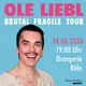 Quadratisches Tourposter mit hellblauem Hintergrund. Ein lächelnder Mann mit heller Haut, dunklen Haaren, Schnurrbart und Ohrring blickt frontal in die Kamera. Große pinke und weiße Schrift kündigt die „Brutal Fragile Tour“ am 14.06.2026 in Köln an.