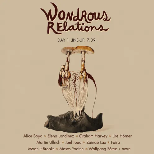 Festivalplakat auf beigem Hintergrund mit handgezeichnetem Schriftzug „Wondrous Relations“. Darunter eine botanische Illustration zweier Pilze mit freigelegten Wurzeln auf dunklem Sockel. Unten stehen Datum und Line-up in brauner Schrift.