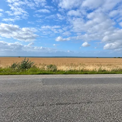 Ein weiter Blick über ein goldenes Kornfeld bis zum fernen Horizont. Im Vordergrund verläuft eine graue Asphaltstraße mit wildem Gras und Sträuchern am Rand. Darüber spannt sich ein großer, hellblauer Himmel mit dichten weißen und grauen Wolken.