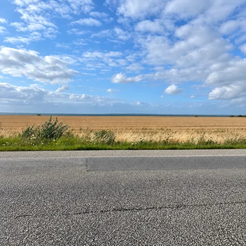 Ein weiter Blick über ein goldenes Kornfeld bis zum fernen Horizont. Im Vordergrund verläuft eine graue Asphaltstraße mit wildem Gras und Sträuchern am Rand. Darüber spannt sich ein großer, hellblauer Himmel mit dichten weißen und grauen Wolken.
